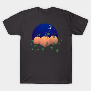 Pumpkin and night T-Shirt